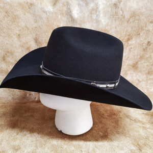 Country Arizona V - Imagem 3